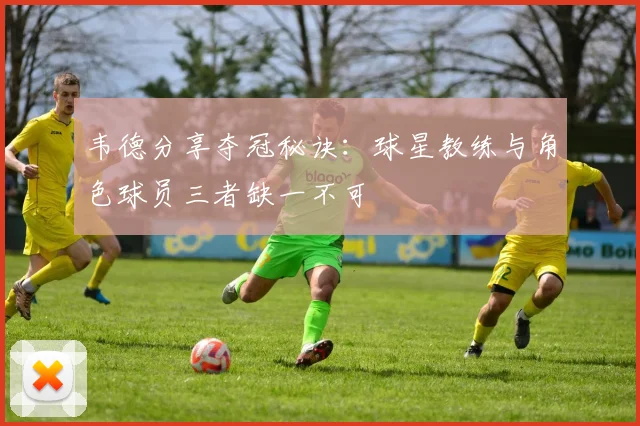 韦德分享夺冠秘诀：球星教练与角色球员三者缺一不可