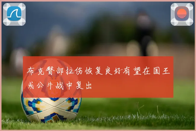 布克臀部拉伤恢复良好有望在国王或公牛战中复出