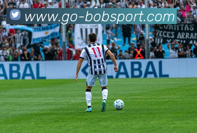 App Interface Preview