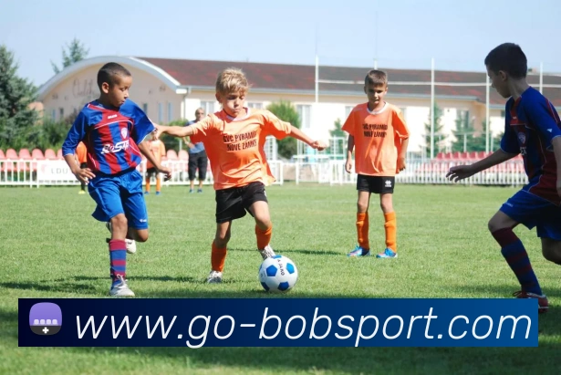 BOB体育APP 封面图