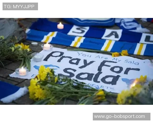 卡迪夫城就萨拉坠机事件向南特索赔12亿欧元提起诉讼